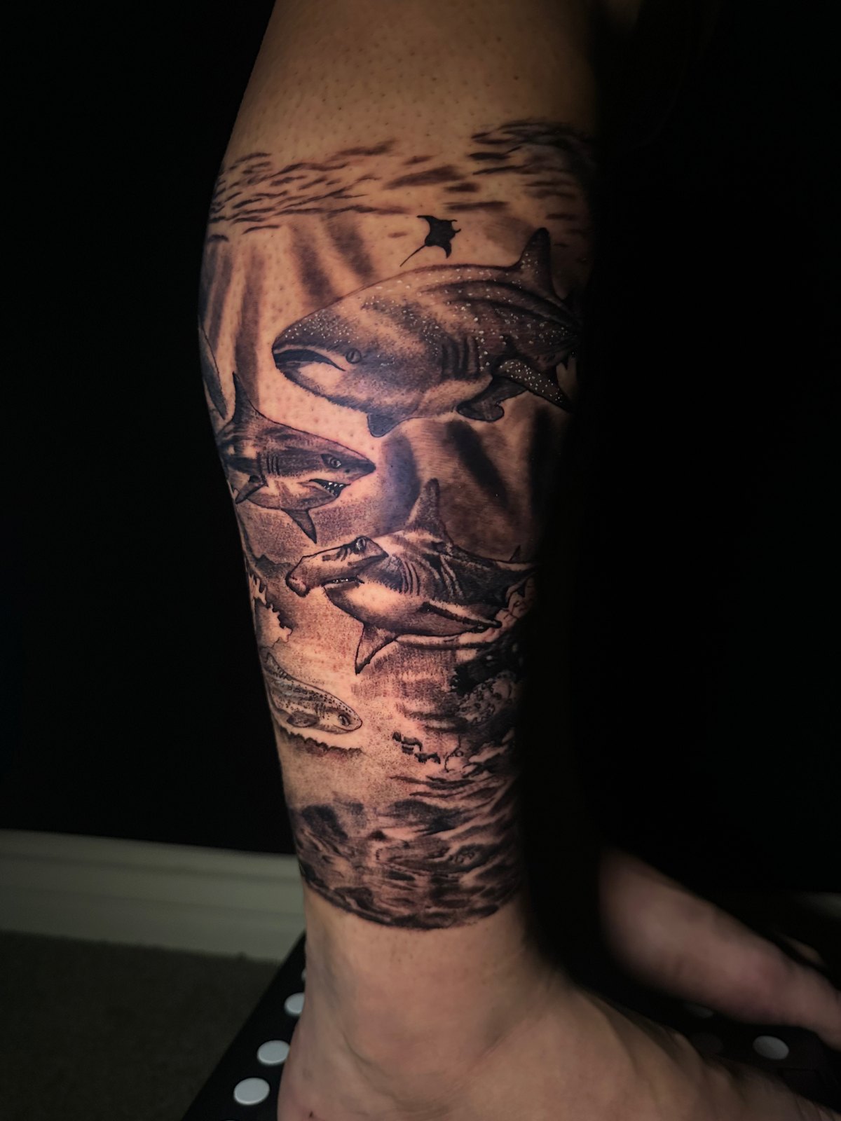 Black and grey shark tattoo by Cam Donachie