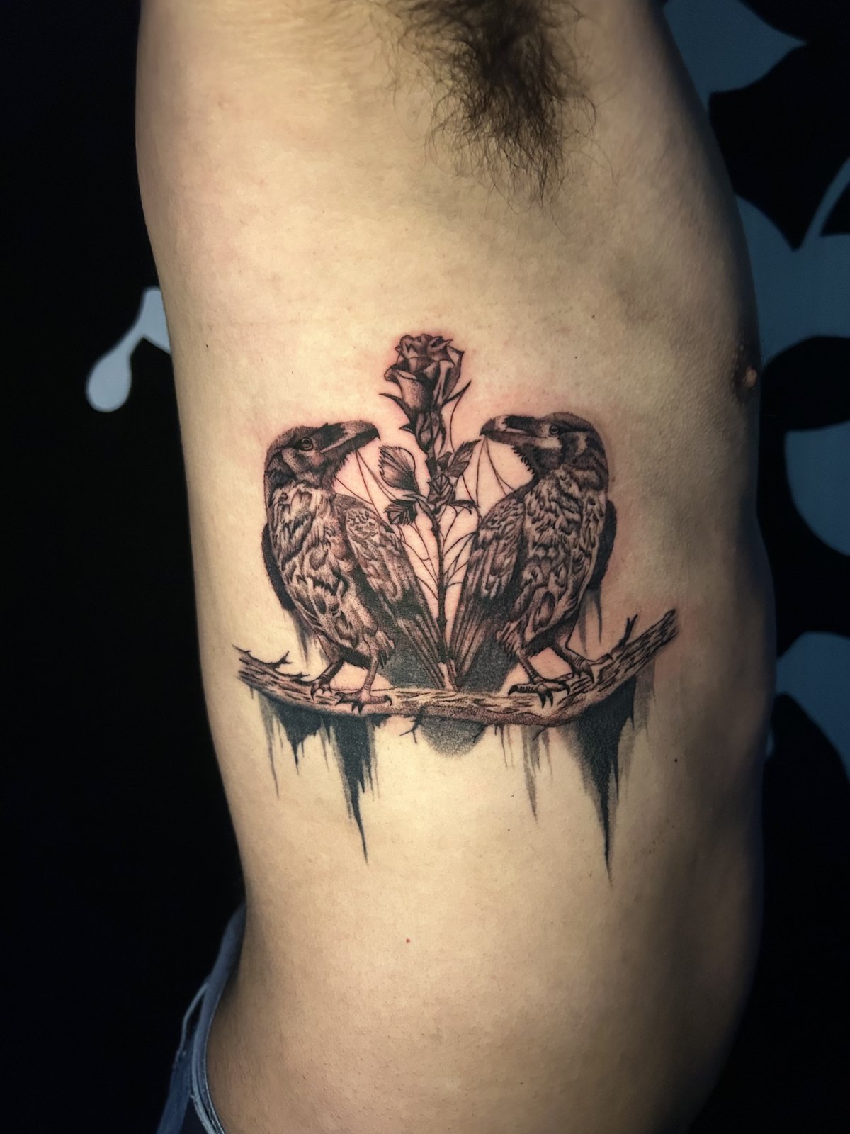 Ravens & Rose tattoo by Cam Donachie